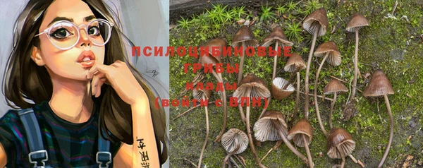 трава Зерноград