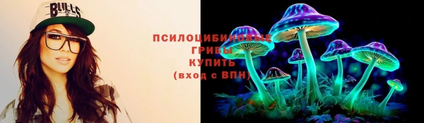 дживик Зеленокумск