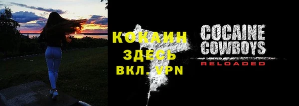 дживик Зеленокумск