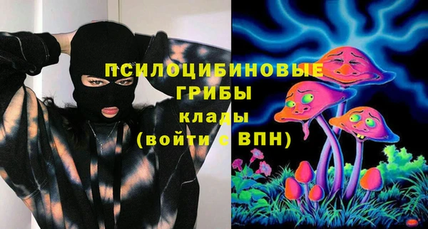 дживик Зеленокумск