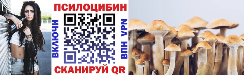 Купить  Джанкой  Псилоцибиновые грибы Magic Shrooms 